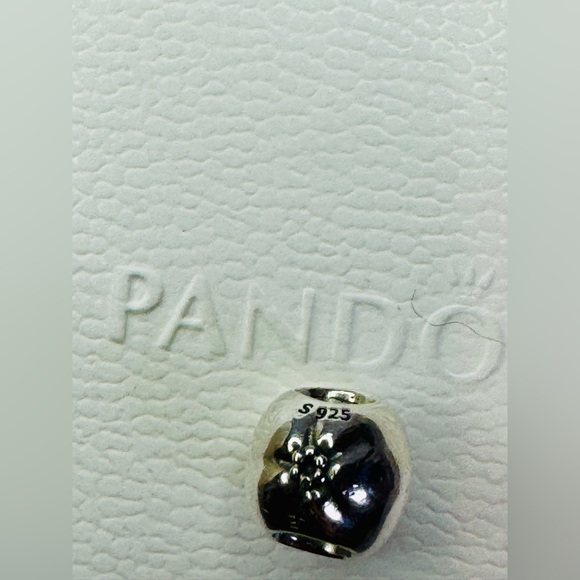 Authentic Retired Pandora Apple of My Eye Two Tone 14k & S925 Ale Charm - Picture 11 of 14